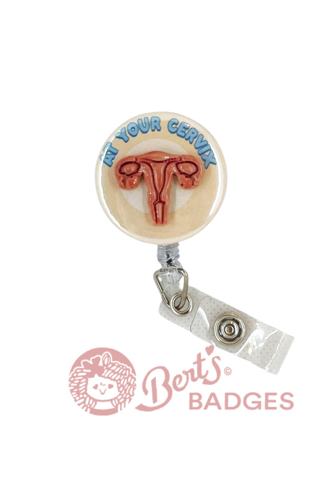 GYNECOLOGIST - OPTIONS